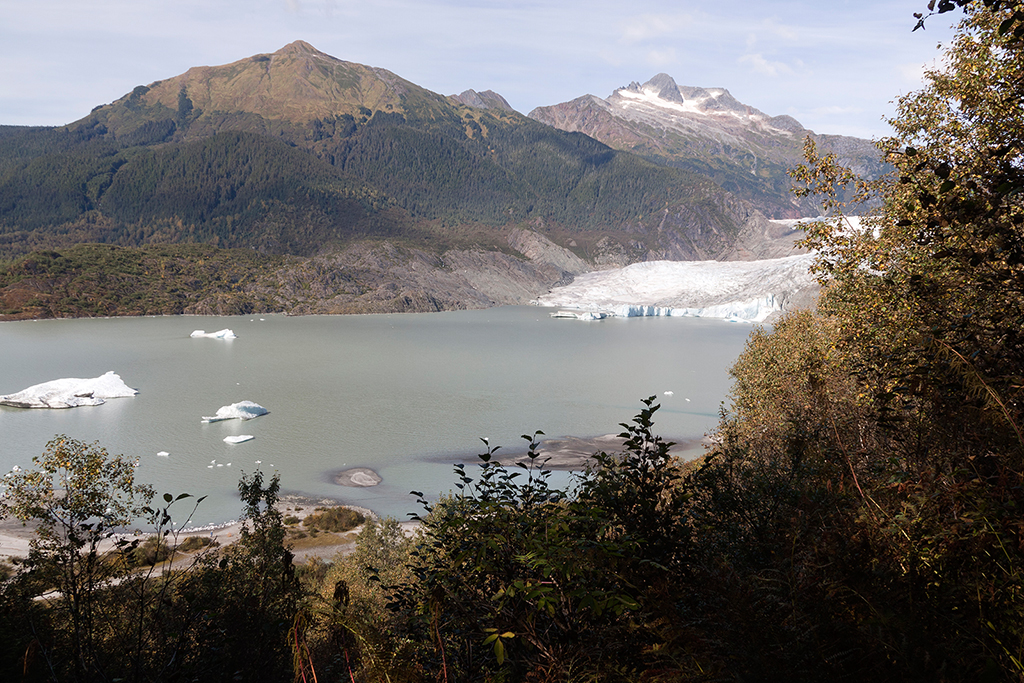 IMG_371.jpg - Mendenhall Glacier at Juneau